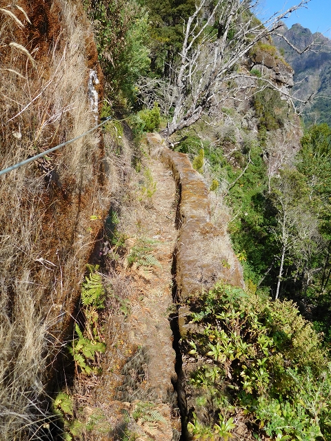 24.07.2015 Balcoes Levada do Juncal Levada Nova do Juncal — Ribeiro Frio zur Levada do Juncal und zum ersten Erdrutsch — Foto 8