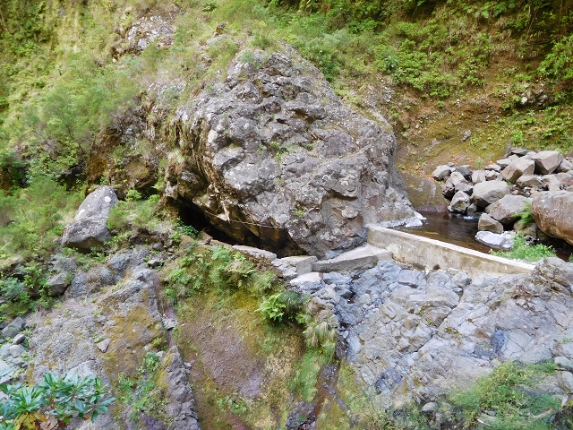 24.07.2015 Balcoes Levada do Juncal Levada Nova do Juncal — Abstecher zu den Galerietunnels der Levada dos Accionistas — Foto 9