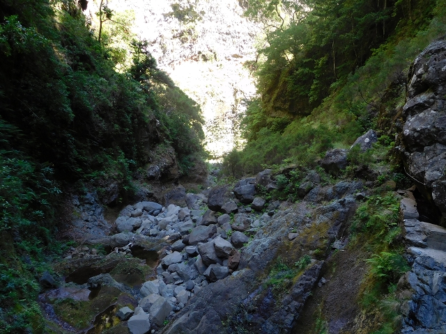 24.07.2015 Balcoes Levada do Juncal Levada Nova do Juncal — Im Bachbett des Seitenastes der Ribeira do Juncal bis zur Hinkelsteinmadre der Levada Nova do Juncal — Foto 1