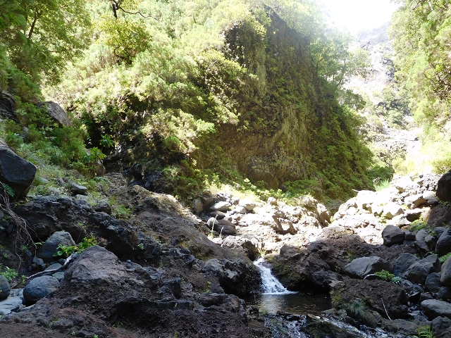 24.07.2015 Balcoes Levada do Juncal Levada Nova do Juncal — Im Bachbett des Seitenastes der Ribeira do Juncal bis zur Hinkelsteinmadre der Levada Nova do Juncal — Foto 2