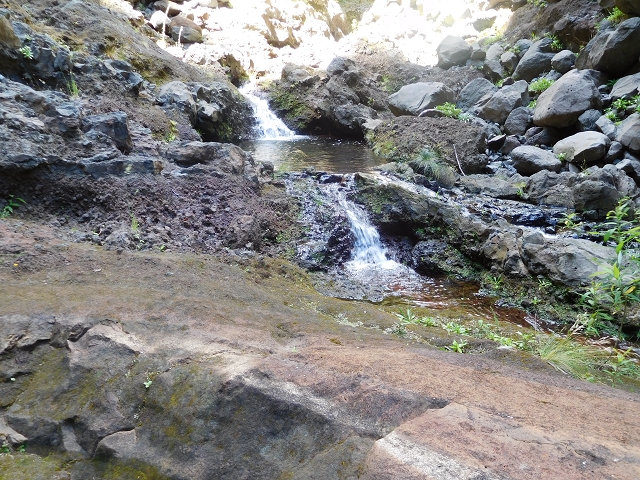 24.07.2015 Balcoes Levada do Juncal Levada Nova do Juncal — Im Bachbett des Seitenastes der Ribeira do Juncal bis zur Hinkelsteinmadre der Levada Nova do Juncal — Foto 3