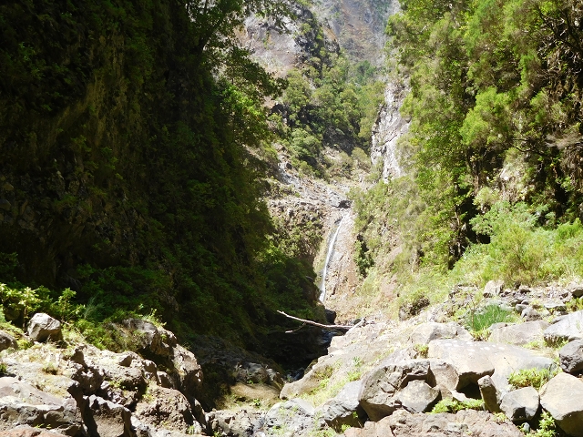 24.07.2015 Balcoes Levada do Juncal Levada Nova do Juncal — Im Bachbett des Seitenastes der Ribeira do Juncal bis zur Hinkelsteinmadre der Levada Nova do Juncal — Foto 4