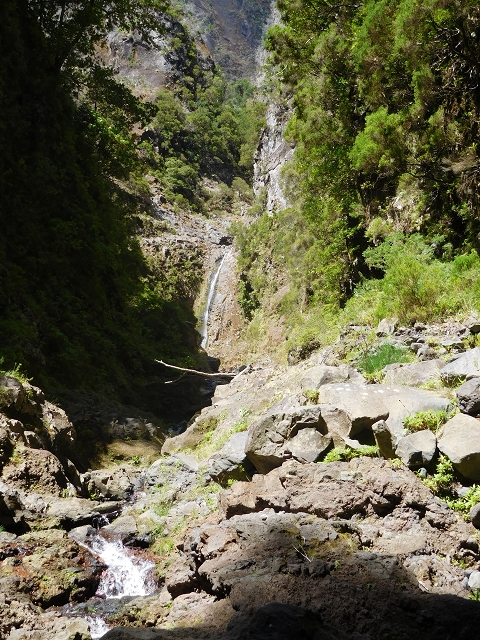 24.07.2015 Balcoes Levada do Juncal Levada Nova do Juncal — Im Bachbett des Seitenastes der Ribeira do Juncal bis zur Hinkelsteinmadre der Levada Nova do Juncal — Foto 5