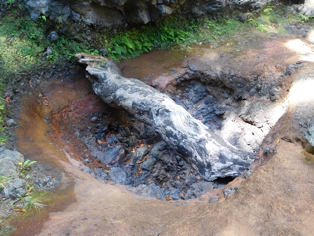 24.07.2015 Balcoes Levada do Juncal Levada Nova do Juncal — Im Bachbett des Seitenastes der Ribeira do Juncal bis zur Hinkelsteinmadre der Levada Nova do Juncal — Foto 6