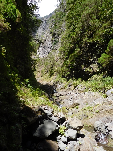 24.07.2015 Balcoes Levada do Juncal Levada Nova do Juncal — Im Bachbett des Seitenastes der Ribeira do Juncal bis zur Hinkelsteinmadre der Levada Nova do Juncal — Foto 7
