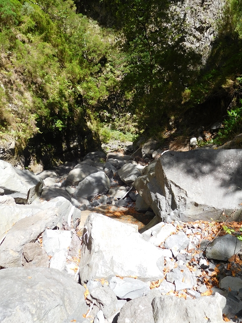 24.07.2015 Balcoes Levada do Juncal Levada Nova do Juncal — Im Bachbett des Seitenastes der Ribeira do Juncal bis zur Hinkelsteinmadre der Levada Nova do Juncal — Foto 9