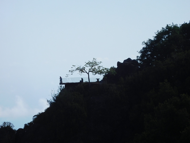 24.07.2015 Balcoes Levada do Juncal Levada Nova do Juncal — Ribeiro Frio zur Levada do Juncal und zum ersten Erdrutsch — Foto 9