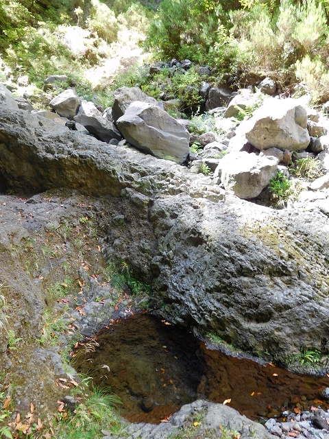 24.07.2015 Balcoes Levada do Juncal Levada Nova do Juncal — Im Bachbett des Seitenastes der Ribeira do Juncal bis zur Hinkelsteinmadre der Levada Nova do Juncal — Foto 11