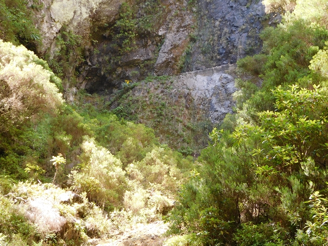 24.07.2015 Balcoes Levada do Juncal Levada Nova do Juncal — Im Bachbett des Seitenastes der Ribeira do Juncal bis zur Hinkelsteinmadre der Levada Nova do Juncal — Foto 12