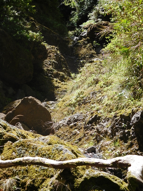 24.07.2015 Balcoes Levada do Juncal Levada Nova do Juncal — Im Bachbett des Seitenastes der Ribeira do Juncal bis zur Hinkelsteinmadre der Levada Nova do Juncal — Foto 15