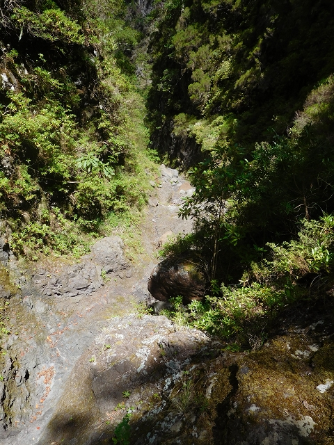 24.07.2015 Balcoes Levada do Juncal Levada Nova do Juncal — Im Bachbett des Seitenastes der Ribeira do Juncal bis zur Hinkelsteinmadre der Levada Nova do Juncal — Foto 17