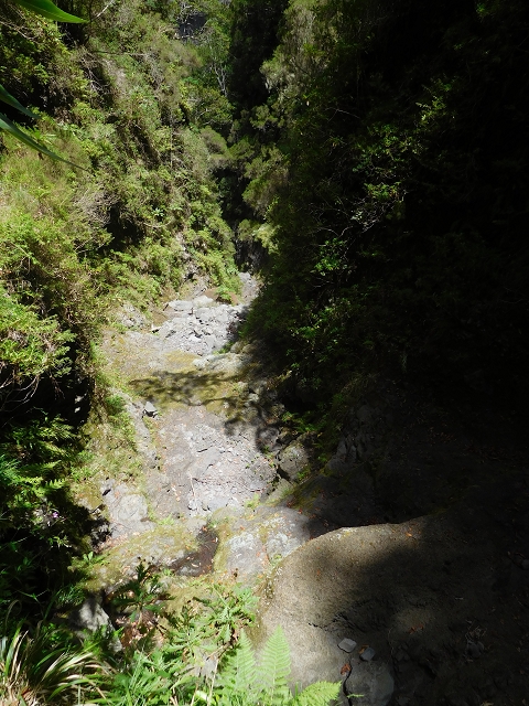 24.07.2015 Balcoes Levada do Juncal Levada Nova do Juncal — Im Bachbett des Seitenastes der Ribeira do Juncal bis zur Hinkelsteinmadre der Levada Nova do Juncal — Foto 19