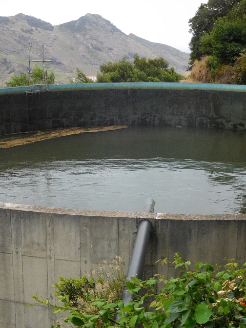 25.06.2016 Levada de Machico Teil 2 — Umgehungsweg und zurück zum Reservoir — Foto 14