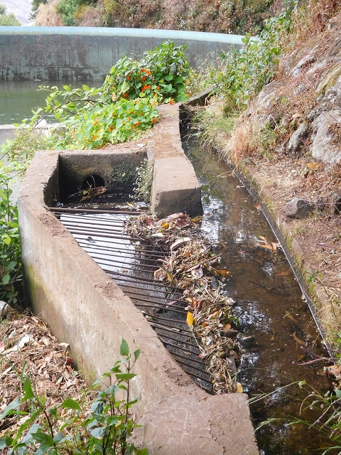 25.06.2016 Levada de Machico Teil 2 — Umgehungsweg und zurück zum Reservoir — Foto 15