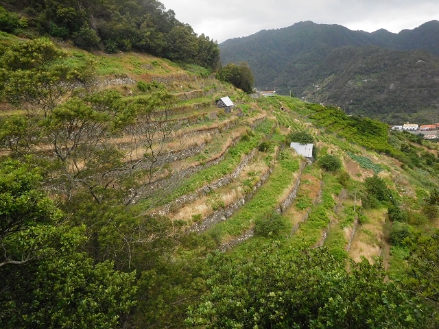 25.06.2016 Levada de Machico Teil 2 — Zurück zum Ausgangspunkt — Foto 3