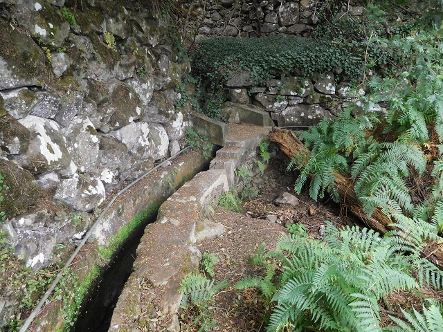 25.06.2016 Levada de Machico Teil 2 — Zurück zum Ausgangspunkt — Foto 4