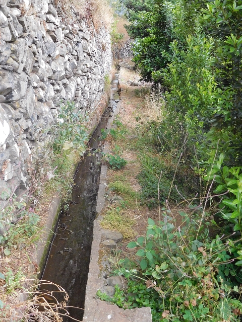 25.06.2016 Levada de Machico Teil 2 — Zurück zum Ausgangspunkt — Foto 8