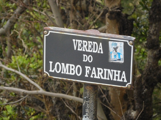 25.06.2016 Levada de Machico Teil 2 — Zurück zum Ausgangspunkt — Foto 10