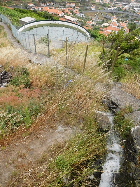 25.06.2016 Levada de Machico Teil 2 — Zurück zum Ausgangspunkt — Foto 12