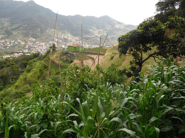 25.06.2016 Levada de Machico Teil 2 — Zurück zum Ausgangspunkt — Foto 14