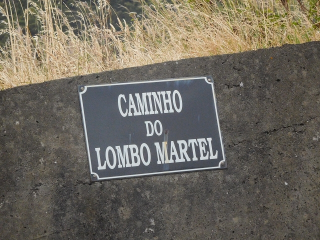 25.06.2016 Levada de Machico Teil 2 — Zurück zum Ausgangspunkt — Foto 23