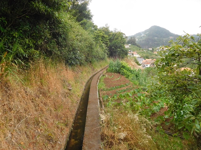 25.06.2016 Levada de Machico Teil 2 — Zurück zum Ausgangspunkt — Foto 24