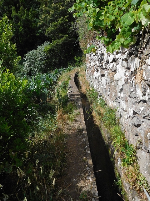 25.06.2016 Levada de Machico Teil 2 — Von der Strassenkreuzung bis zum letzten Reservoir — Foto 18