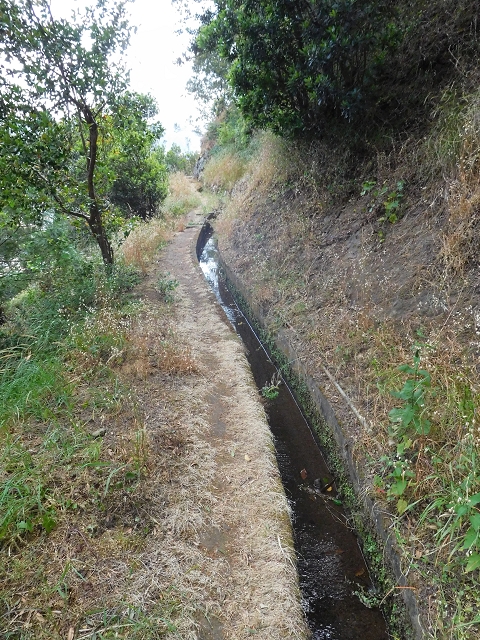 25.06.2016 Levada de Machico Teil 2 — Von der Strassenkreuzung bis zum letzten Reservoir — Foto 19