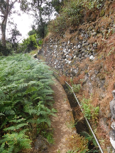 25.06.2016 Levada de Machico Teil 2 — Von der Strassenkreuzung bis zum letzten Reservoir — Foto 21