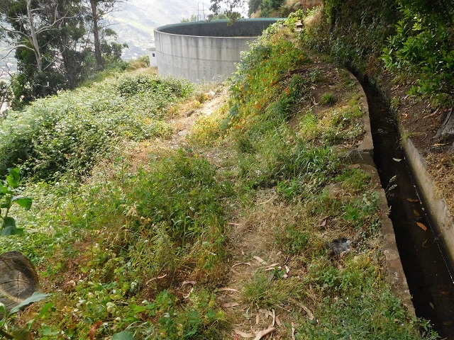25.06.2016 Levada de Machico Teil 2 — Von der Strassenkreuzung bis zum letzten Reservoir — Foto 23