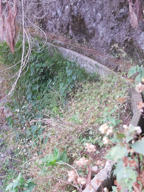 25.06.2016 Levada de Machico Teil 2 — Entlang des letzten Reservoirs bis zum Beginn der Rohrpassage — Foto 3