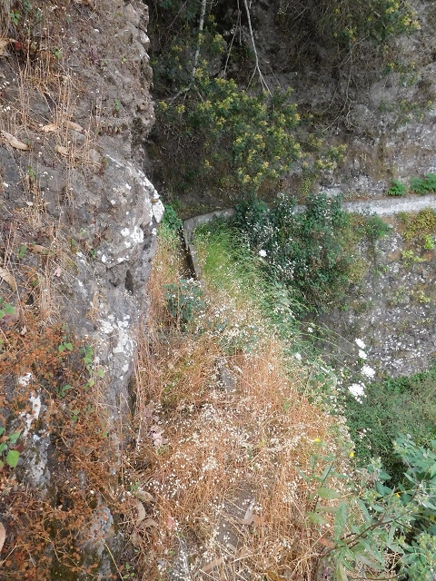25.06.2016 Levada de Machico Teil 2 — Entlang des letzten Reservoirs bis zum Beginn der Rohrpassage — Foto 5