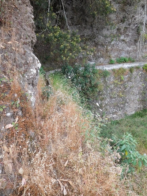25.06.2016 Levada de Machico Teil 2 — Entlang des letzten Reservoirs bis zum Beginn der Rohrpassage — Foto 6