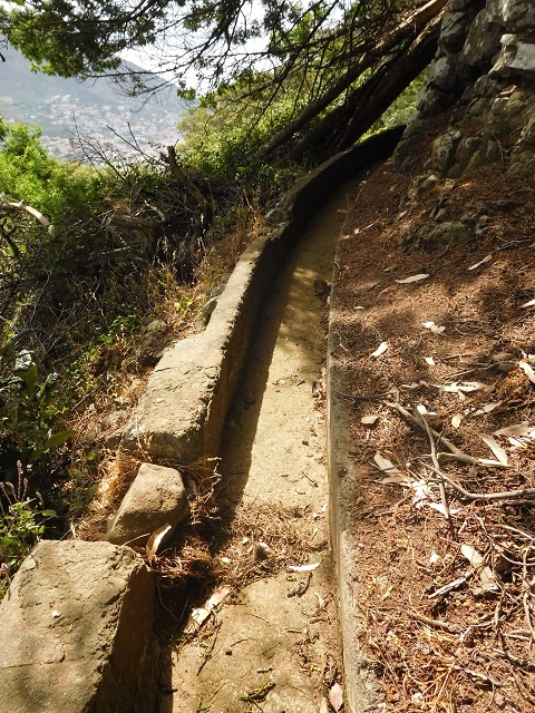 25.06.2016 Levada de Machico Teil 2 — Entlang des letzten Reservoirs bis zum Beginn der Rohrpassage — Foto 8