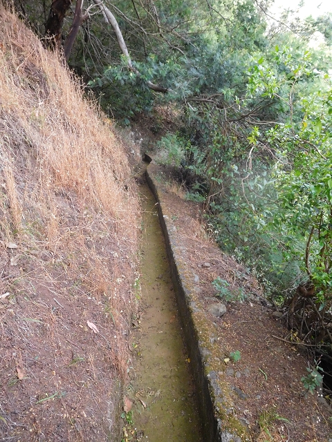 25.06.2016 Levada de Machico Teil 2 — Entlang des letzten Reservoirs bis zum Beginn der Rohrpassage — Foto 9