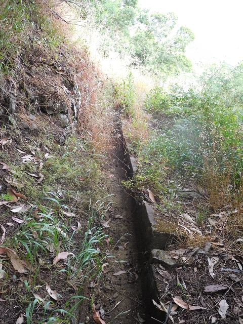 25.06.2016 Levada de Machico Teil 2 — Entlang des letzten Reservoirs bis zum Beginn der Rohrpassage — Foto 10