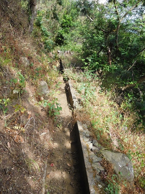 25.06.2016 Levada de Machico Teil 2 — Entlang des letzten Reservoirs bis zum Beginn der Rohrpassage — Foto 11