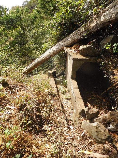 25.06.2016 Levada de Machico Teil 2 — Entlang des letzten Reservoirs bis zum Beginn der Rohrpassage — Foto 13