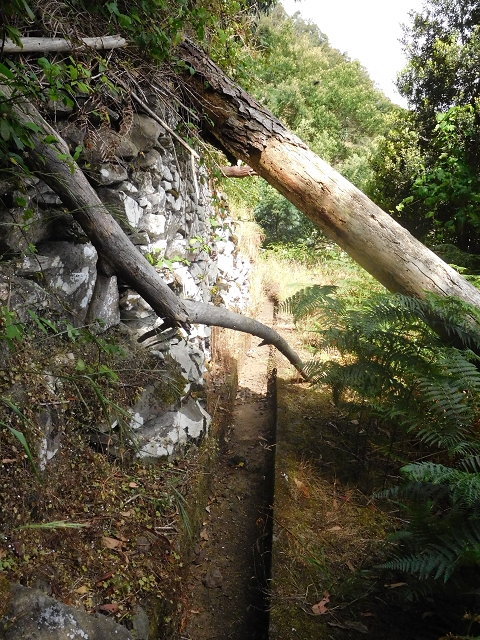 25.06.2016 Levada de Machico Teil 2 — Entlang des letzten Reservoirs bis zum Beginn der Rohrpassage — Foto 14