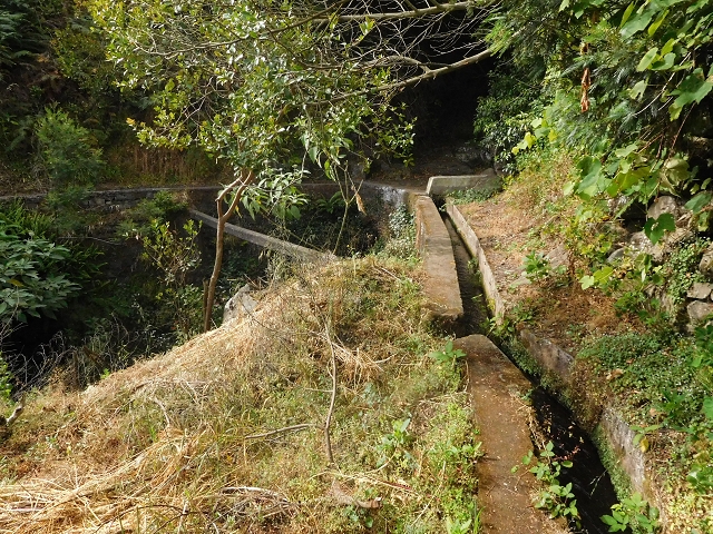 25.06.2016 Levada de Machico Teil 2 — Von der Strassenkreuzung bis zum letzten Reservoir — Foto 4