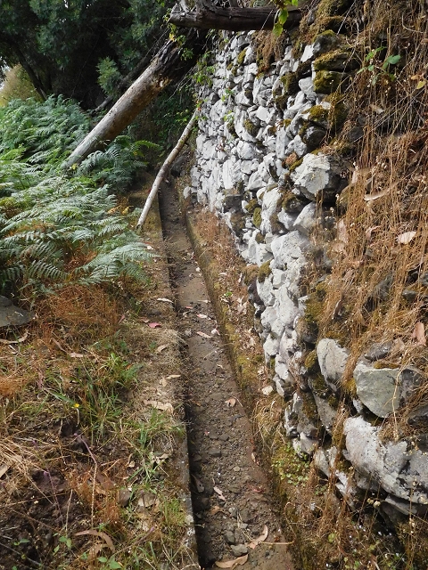 25.06.2016 Levada de Machico Teil 2 — Entlang des letzten Reservoirs bis zum Beginn der Rohrpassage — Foto 16