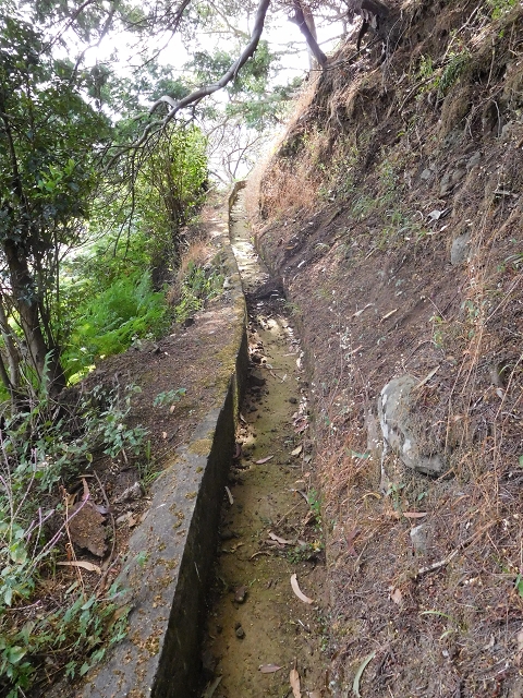 25.06.2016 Levada de Machico Teil 2 — Entlang des letzten Reservoirs bis zum Beginn der Rohrpassage — Foto 17