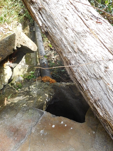 25.06.2016 Levada de Machico Teil 2 — Entlang des letzten Reservoirs bis zum Beginn der Rohrpassage — Foto 18