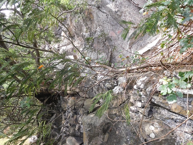 25.06.2016 Levada de Machico Teil 2 — Entlang des letzten Reservoirs bis zum Beginn der Rohrpassage — Foto 19