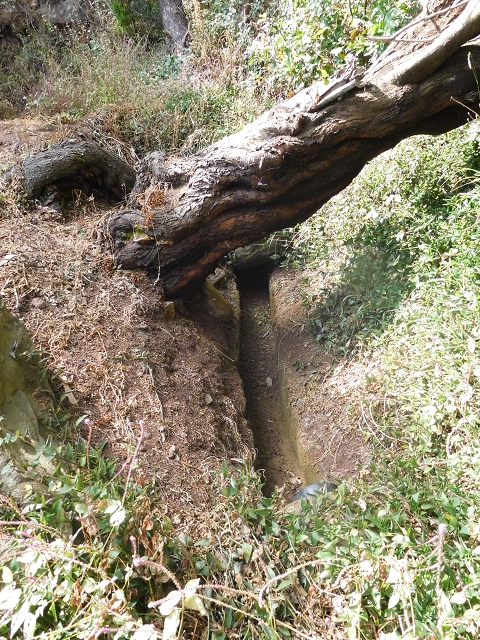 25.06.2016 Levada de Machico Teil 2 — Rohrpassage und defekte Wandpassage — Foto 11