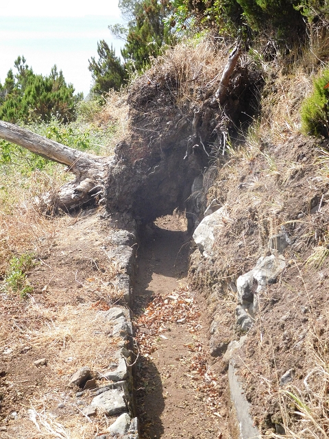 25.06.2016 Levada de Machico Teil 2 — Bis zum Ende des begehbaren Teils und zurück zum Umgehungsweg der Wandpassage — Foto 1