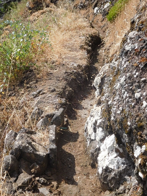 25.06.2016 Levada de Machico Teil 2 — Bis zum Ende des begehbaren Teils und zurück zum Umgehungsweg der Wandpassage — Foto 2