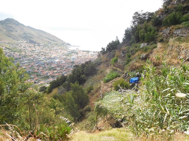 25.06.2016 Levada de Machico Teil 2 — Bis zum Ende des begehbaren Teils und zurück zum Umgehungsweg der Wandpassage — Foto 3