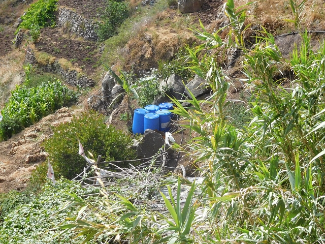 25.06.2016 Levada de Machico Teil 2 — Bis zum Ende des begehbaren Teils und zurück zum Umgehungsweg der Wandpassage — Foto 4
