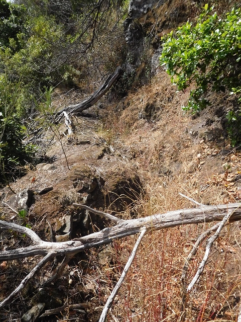25.06.2016 Levada de Machico Teil 2 — Bis zum Ende des begehbaren Teils und zurück zum Umgehungsweg der Wandpassage — Foto 6